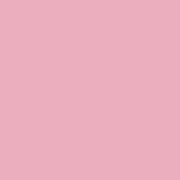 2087-20 Watermelon Red - Paint Color